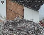 Capi_Dubne_20250821_145004.jpg