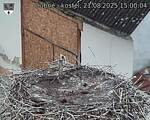 Capi_Dubne_20250821_150004.jpg