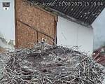 Capi_Dubne_20250821_151004.jpg