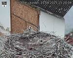 Capi_Dubne_20250821_152004.jpg
