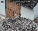 Capi_Dubne_20250821_152504.jpg