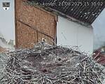 Capi_Dubne_20250821_153002.jpg
