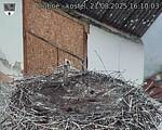 Capi_Dubne_20250821_161003.jpg