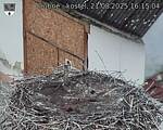 Capi_Dubne_20250821_161504.jpg