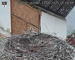 Capi_Dubne_20250821_165004.jpg