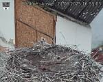 Capi_Dubne_20250821_165503.jpg
