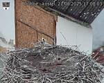 Capi_Dubne_20250821_170003.jpg