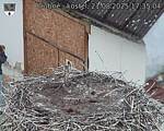 Capi_Dubne_20250821_173504.jpg