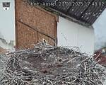 Capi_Dubne_20250821_174002.jpg