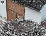 Capi_Dubne_20250821_175003.jpg