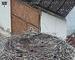 Capi_Dubne_20250821_175503.jpg