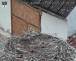 Capi_Dubne_20250821_180504.jpg