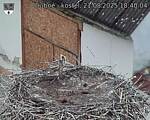 Capi_Dubne_20250821_184004.jpg