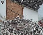 Capi_Dubne_20250821_185504.jpg