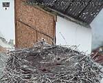 Capi_Dubne_20250821_193504.jpg