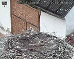 Capi_Dubne_20250821_195002.jpg