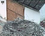 Capi_Dubne_20250821_200002.jpg
