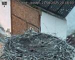 Capi_Dubne_20250821_201003.jpg