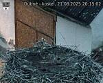 Capi_Dubne_20250821_201502.jpg