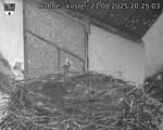 Capi_Dubne_20250821_202503.jpg