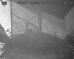 Capi_Dubne_20250821_224003.jpg