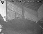 Capi_Dubne_20250821_225002.jpg