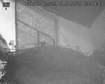 Capi_Dubne_20250821_230003.jpg