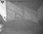 Capi_Dubne_20250822_002502.jpg