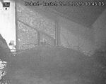 Capi_Dubne_20250822_004503.jpg