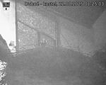 Capi_Dubne_20250822_012503.jpg