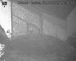 Capi_Dubne_20250822_013003.jpg