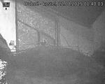 Capi_Dubne_20250822_014003.jpg