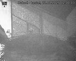 Capi_Dubne_20250822_020003.jpg