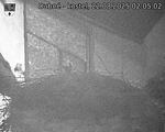 Capi_Dubne_20250822_020502.jpg