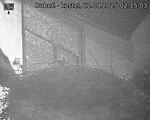 Capi_Dubne_20250822_021503.jpg