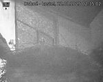 Capi_Dubne_20250822_023502.jpg