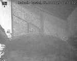 Capi_Dubne_20250822_025002.jpg