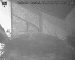 Capi_Dubne_20250822_033002.jpg