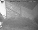 Capi_Dubne_20250822_040503.jpg