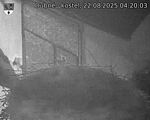 Capi_Dubne_20250822_042003.jpg