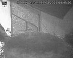 Capi_Dubne_20250822_044503.jpg
