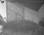 Capi_Dubne_20250822_053002.jpg