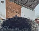 Capi_Dubne_20250822_084003.jpg