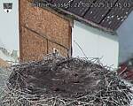Capi_Dubne_20250822_114503.jpg