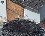 Capi_Dubne_20250822_115504.jpg