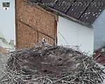 Capi_Dubne_20250822_120003.jpg