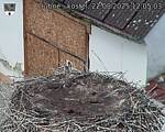 Capi_Dubne_20250822_120503.jpg
