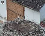 Capi_Dubne_20250822_122003.jpg