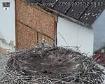 Capi_Dubne_20250822_125002.jpg