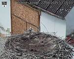 Capi_Dubne_20250822_131503.jpg